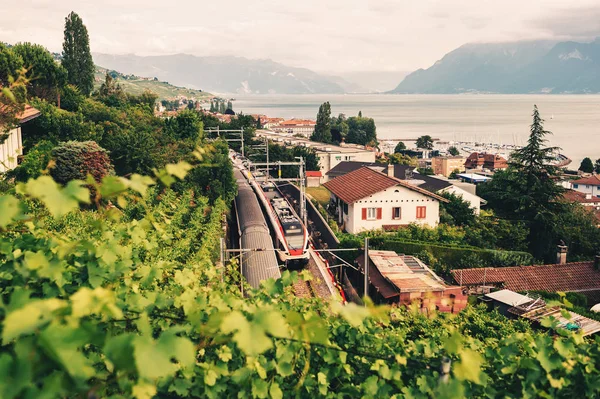Dva Vlaky Jedoucí Železniční Trati Přes Lavaux Vinice Jezera Ženeva — Stock fotografie