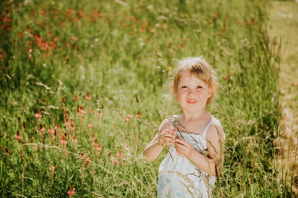 Відкритому Повітрі Портрет Милої Маленької Річної Дівчинки Грає Полі Високою — стокове фото