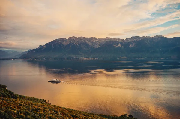 Utrolig Høstlandskap Lavaux Vingårder Swiss Riviera Lausanne Kantonen Vaud Sveits – stockfoto