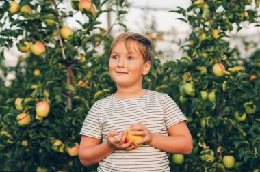 Elma bahçesinde oynayan çocuk, çizgili tişört giyiyor