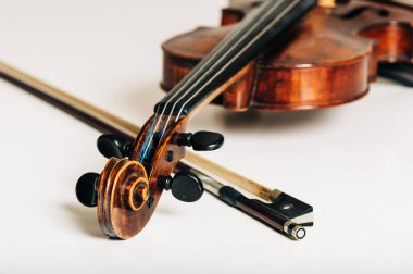 Beyaz arka planda yatan bir vilolin Stüdyo görüntüsü