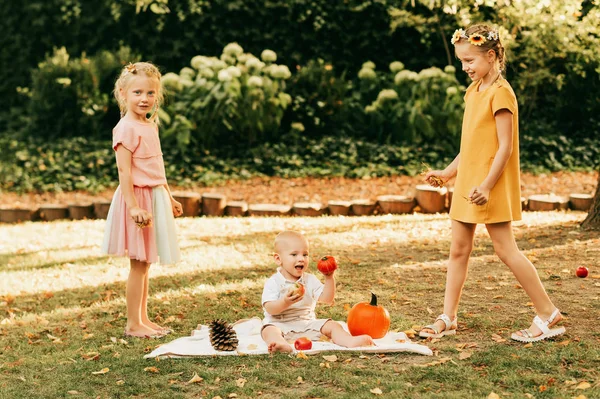 Retrato Estilo Outono Para Crianças Pequenas Irmãs Menino Brincando Parque — Fotografia de Stock