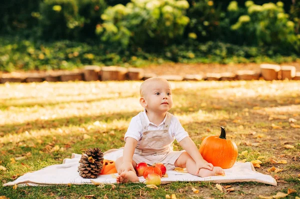 Autumn Styled Portrait Toddler Boy Baby Boy Playing Sunny Park — Stock Photo, Image