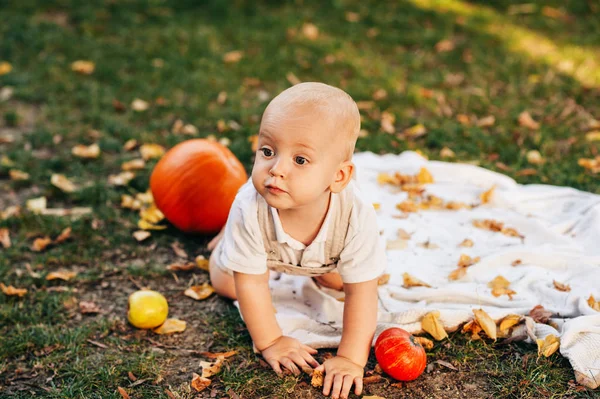 Autumn Styled Portrait Toddler Boy Baby Boy Playing Sunny Park — Stock Photo, Image