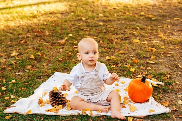 Herbst Porträt Für Kleinkind Baby Junge Spielt Sonnigen Park Mit — Stockfoto