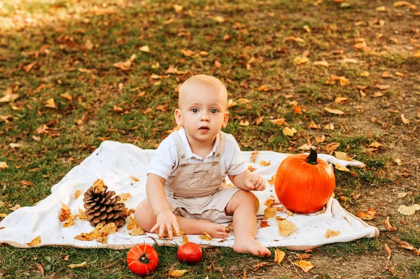 Herbst Porträt Für Kleinkind Baby Junge Spielt Sonnigen Park Mit — Stockfoto