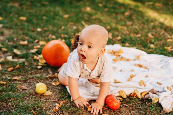Høstportrett Småbarnsgutt Babygutt Som Leker Solfylte Parker Med Høstdekorasjon – stockfoto