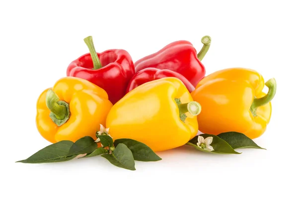 红色和黄色甜椒孤立在白色背景上 — 图库照片