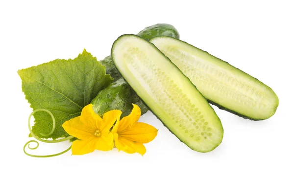 Verse Komkommer Met Bloemen Bladeren Geïsoleerd Witte Achtergrond — Stockfoto