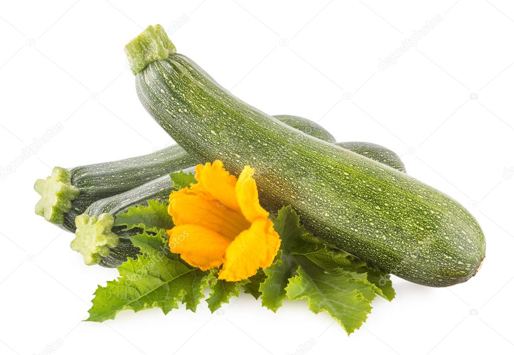 Zucchini with flower and leaves isolated on white background