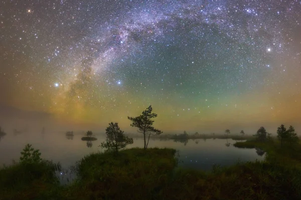 在白俄罗斯叶利尼亚沼泽的星夜 — 图库照片