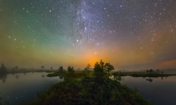 在白俄罗斯叶利尼亚沼泽的星夜 — 图库照片