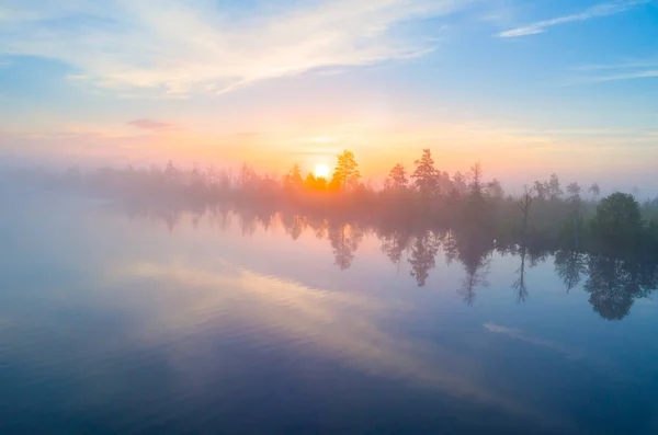 Colpo Aereo Mattina Nebbiosa Palude Yelnya Belarus — Foto Stock