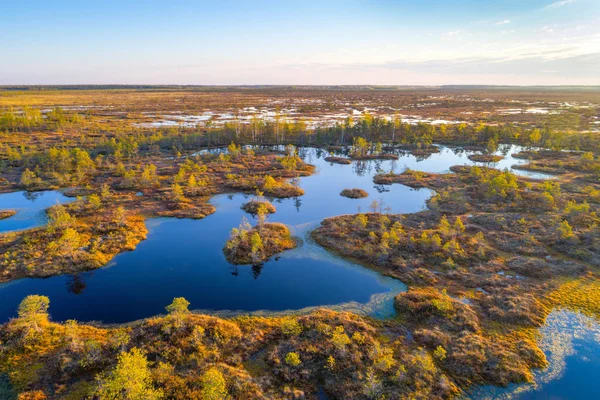 Fotografia Aérea Pântano Yelnya Bielorrússia — Fotografia de Stock