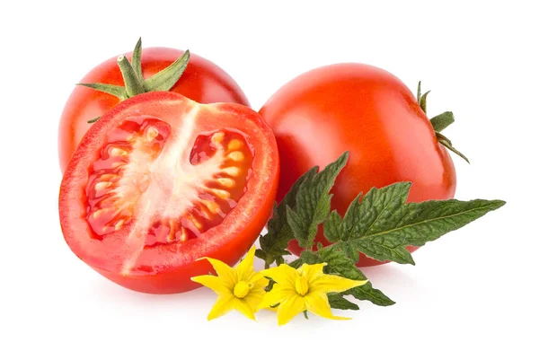 Modne Tomater Isolert Hvit Bakgrunn – stockfoto