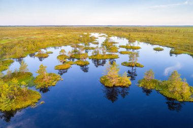 Aerial shot of Yelnya swamp, Belarus clipart