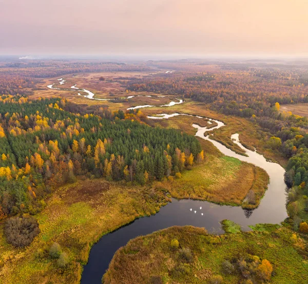 Foto Aérea Bosque Otoñal Río Reserva Natural Sin Sha Bielorrusia — Foto de Stock