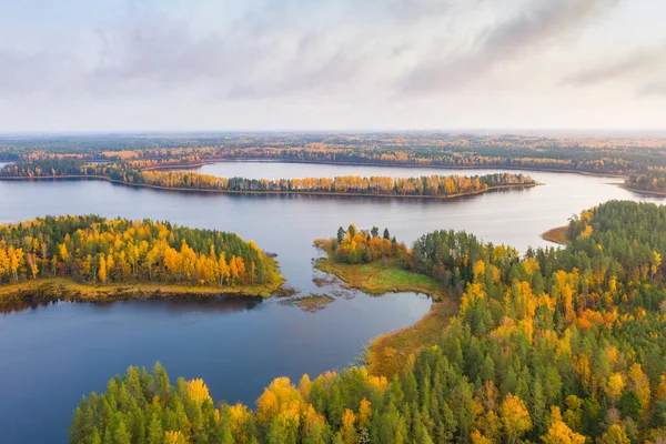 Aerial Shot Autumn Forest Lakes Natural Reserve Sin Sha Belarus — Stock Photo, Image