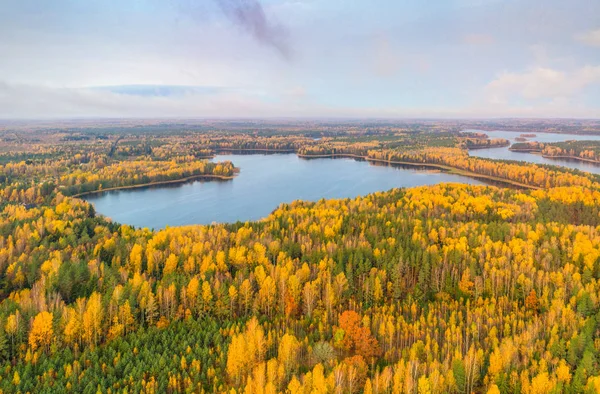 Tiro Aéreo Floresta Outono Lagos Reserva Natural Sin Sha Bielorrússia — Fotografia de Stock