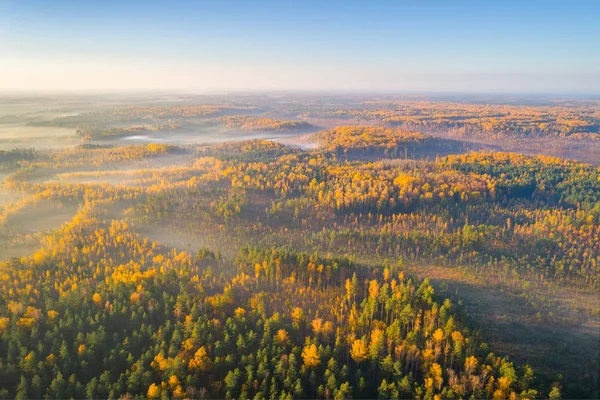 Hava Sisli Sonbahar Sabahı Ateş Bataklığı Astravy Duleby Beyaz Rusya — Stok fotoğraf