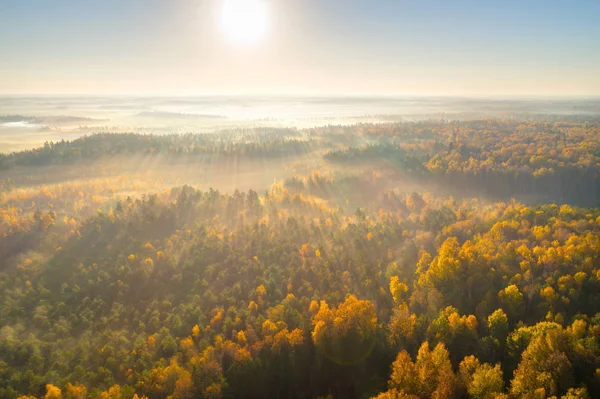 Letecký Snímek Mlhavého Podzimního Rána Bažině Astravy Duleby Bělorusko — Stock fotografie