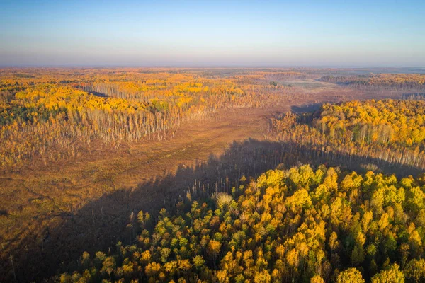 Tiro Aéreo Manhã Outono Nebulosa Pântano Astravy Duleby Bielorrússia — Fotografia de Stock