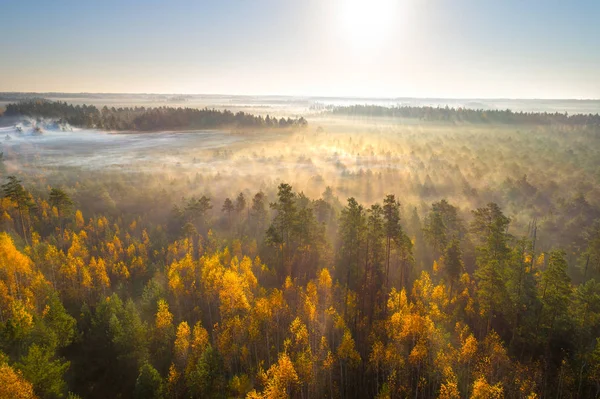 Aerial Shot Foggy Autumn Morning Swamp Astravy Duleby Belarus — Stock Photo, Image