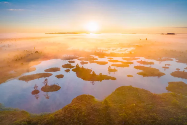 白俄罗斯 Yelnya 沼泽雾蒙蒙的早晨空中拍摄 — 图库照片