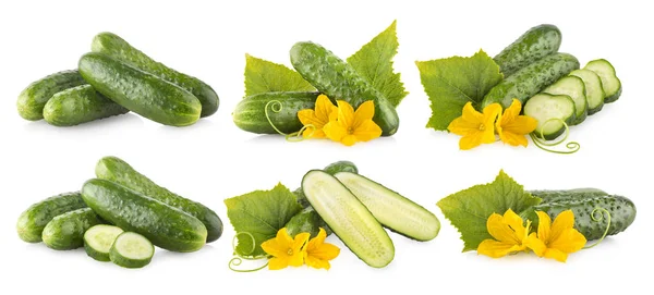 Images Cucumbers Isolated White Background — Stock Photo, Image
