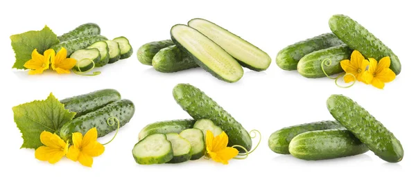 Images Cucumbers Isolated White Background — Stock Photo, Image