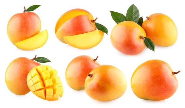 Beelden Van Rijpe Mango Geïsoleerd Witte Achtergrond — Stockfoto