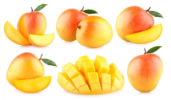 Samling Mango Bilder — Stockfoto