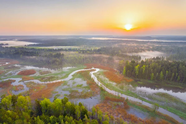 Fiume della foresta — Foto Stock