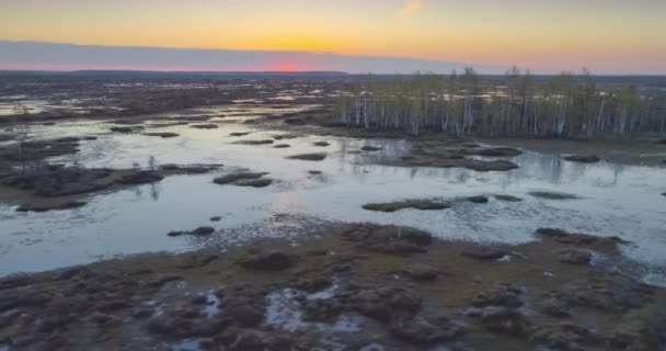春天的早晨在沼泽耶尔尼亚 — 图库视频影像