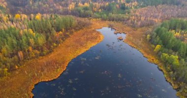 Sonbaharda Belarus doğası