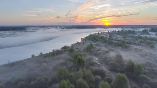 Flodens Slätt Prypyat Våren — Stockvideo