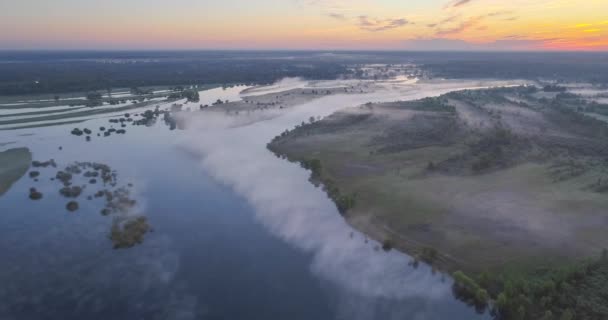 Plaine Inondable Rivière Prypyat Printemps — Video