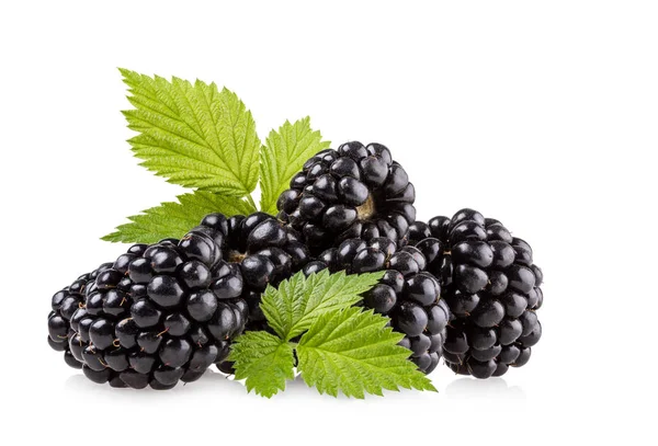 Ripe blackberries — Stock Photo, Image