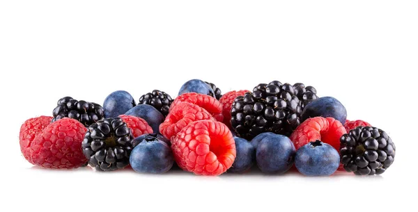 Forest berries — Stock Photo, Image