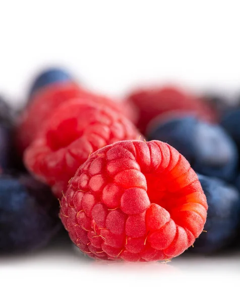 Forest berries — Stock Photo, Image