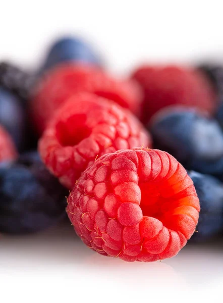 Forest berries — Stock Photo, Image