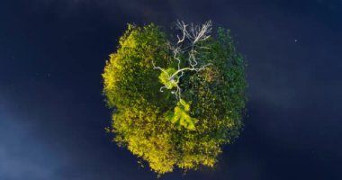 Yelnya bataklığında yalnız bir ada, Beyaz Rusya