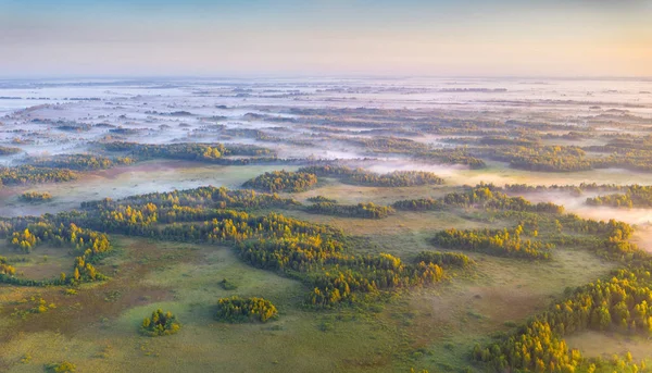 Bataklıkta sisli gün doğumu — Stok fotoğraf