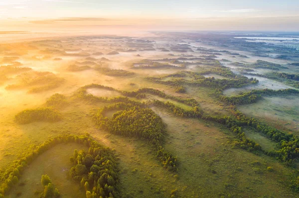 Nebbia alba in una palude — Foto Stock