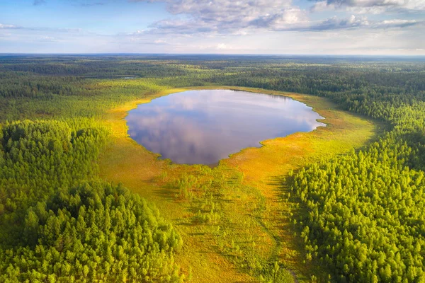 Foto aérea de um lago da floresta — Fotografia de Stock