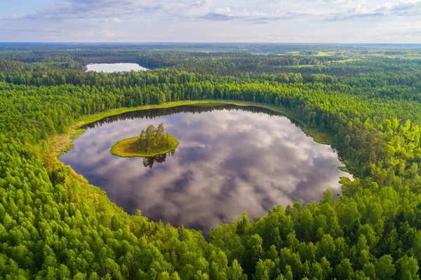 Foto aérea de um lago da floresta — Fotografia de Stock