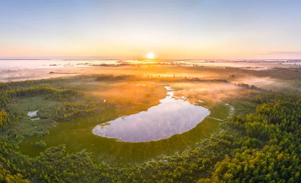 Nascer do sol nebuloso em um pântano — Fotografia de Stock