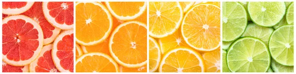 柑橘切片 — 图库照片