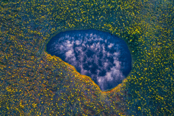 Lake at a swamp in natural reserve Krasny Bor, Belarus
