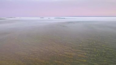 Sabah bataklık üzerinde uçuş